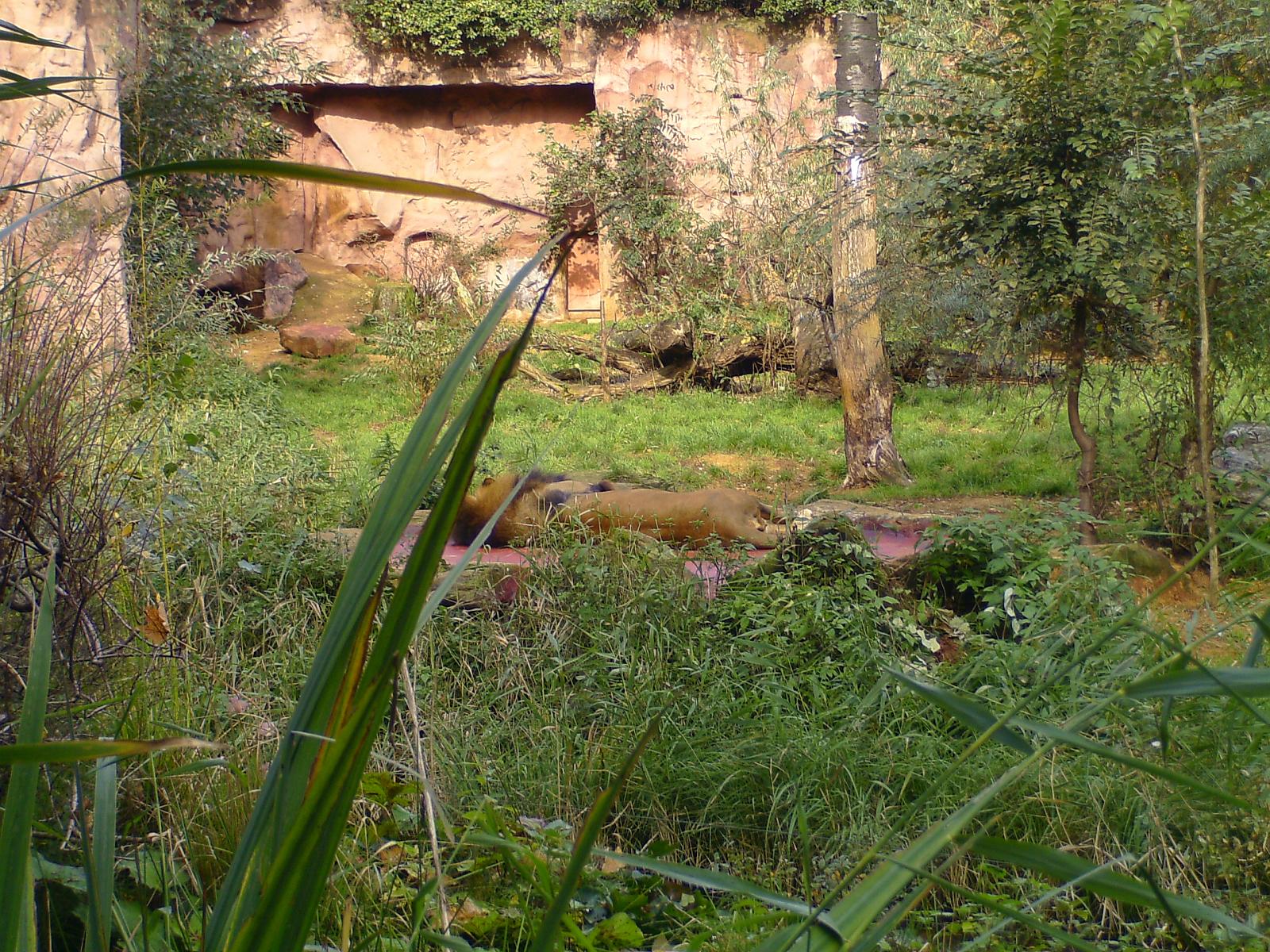 Zoom 18.10.08-091.jpg